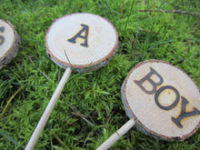 Load image into Gallery viewer, It's a Boy or Girl Log Slice Cake Topper Set