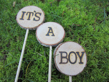 Load image into Gallery viewer, It's a Boy or Girl Log Slice Cake Topper Set