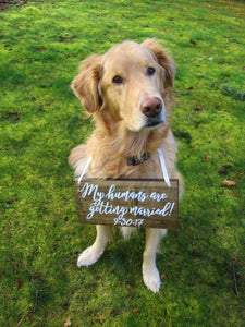 Pet save the date - my humans are getting married dog date sign - Perryhill Rustics